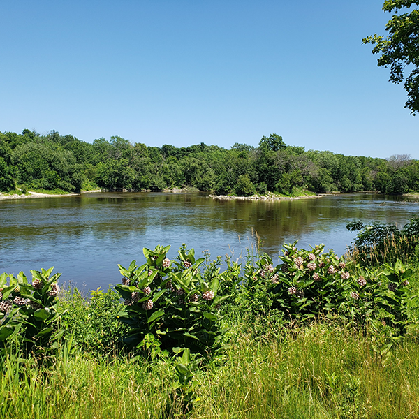 Estabrook Dam Removal 600