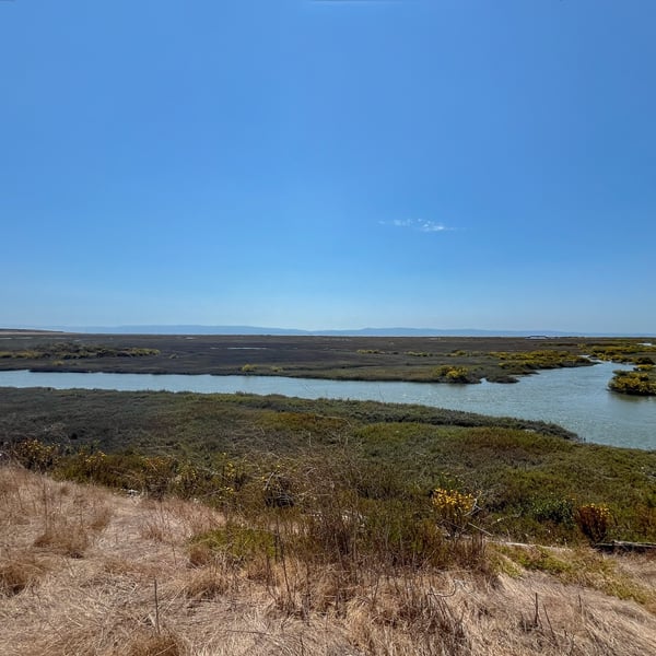 First Mile  Horizontal Levee