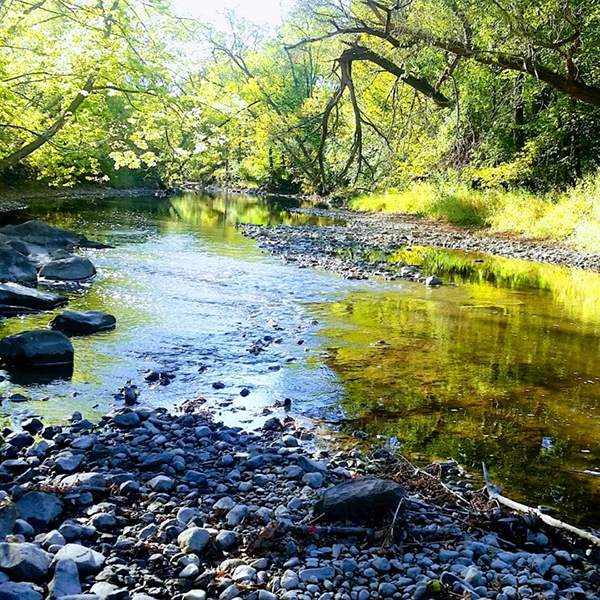 Fluvial Geomorphology 600