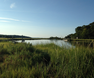 Peconic-estuary-square