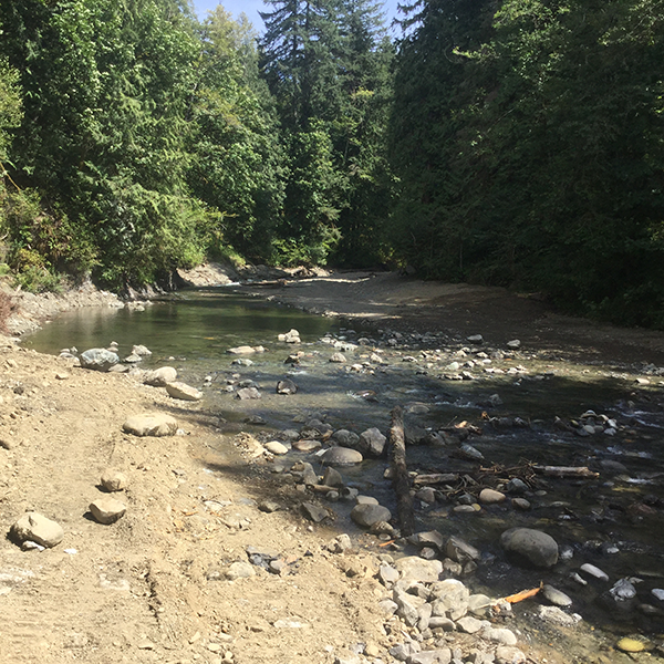 Pilchuck Dam 600