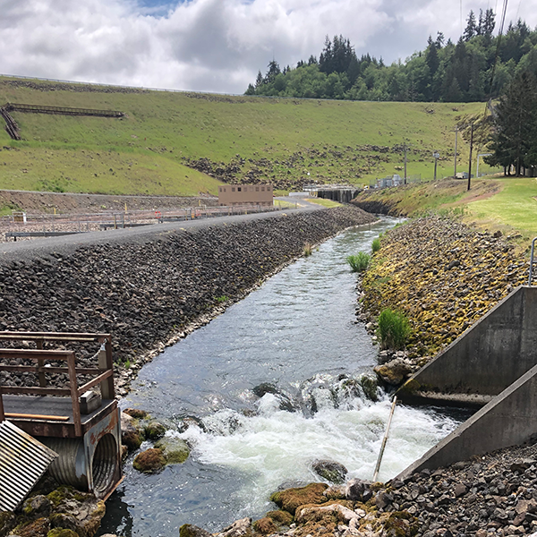 Skookumchuck dam 600