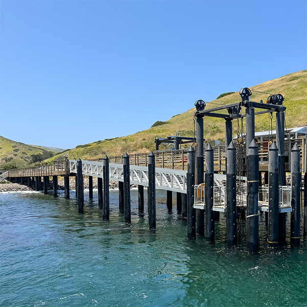 scorpion pier