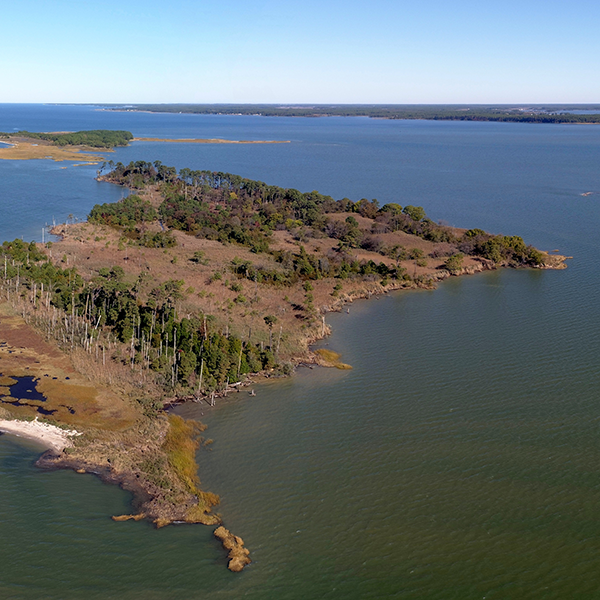 Chesapeake Bay 600