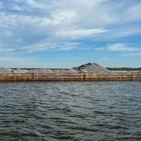 Oyster reef