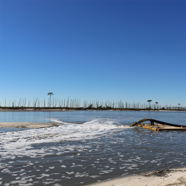deerisland-cropped