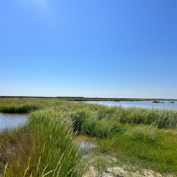 hancockcounty-cropped